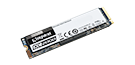 250G KC2000 M.2 2280 NVMe SSD