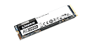 1000G KC2500 M.2 2280 NVMe SSD
