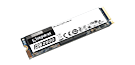 250G KC2500 M.2 2280 NVMe SSD