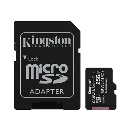 Carte mémoire Micro SD 256 Go - classe 10 - A1 - UHS-1 (U3) - V30