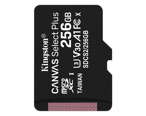 SDCS2/256GB, Carte SD Kingston 256 Go MicroSD
