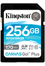 256GB SDXC Canvas Go Plus 170R C10 UHS-I U3 V30				