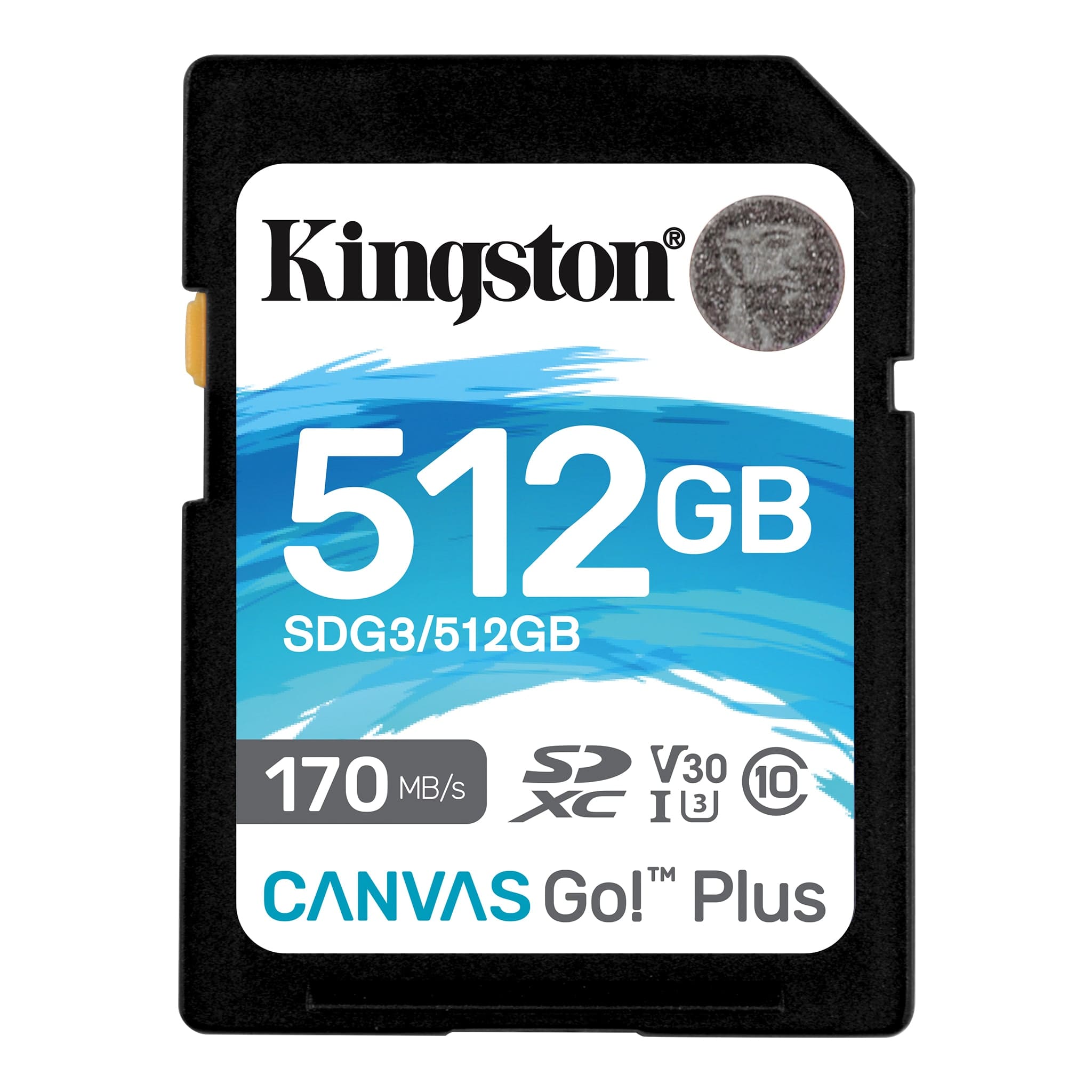 Canvas Go! Plus Class 10 SD Cards - UHS-I, U3, V30 - 64GB-512GB 