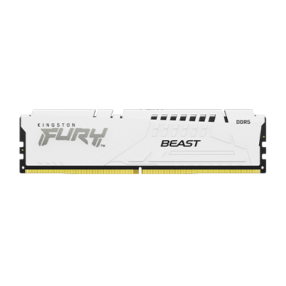 Kingston FURY Beast White DDR5
