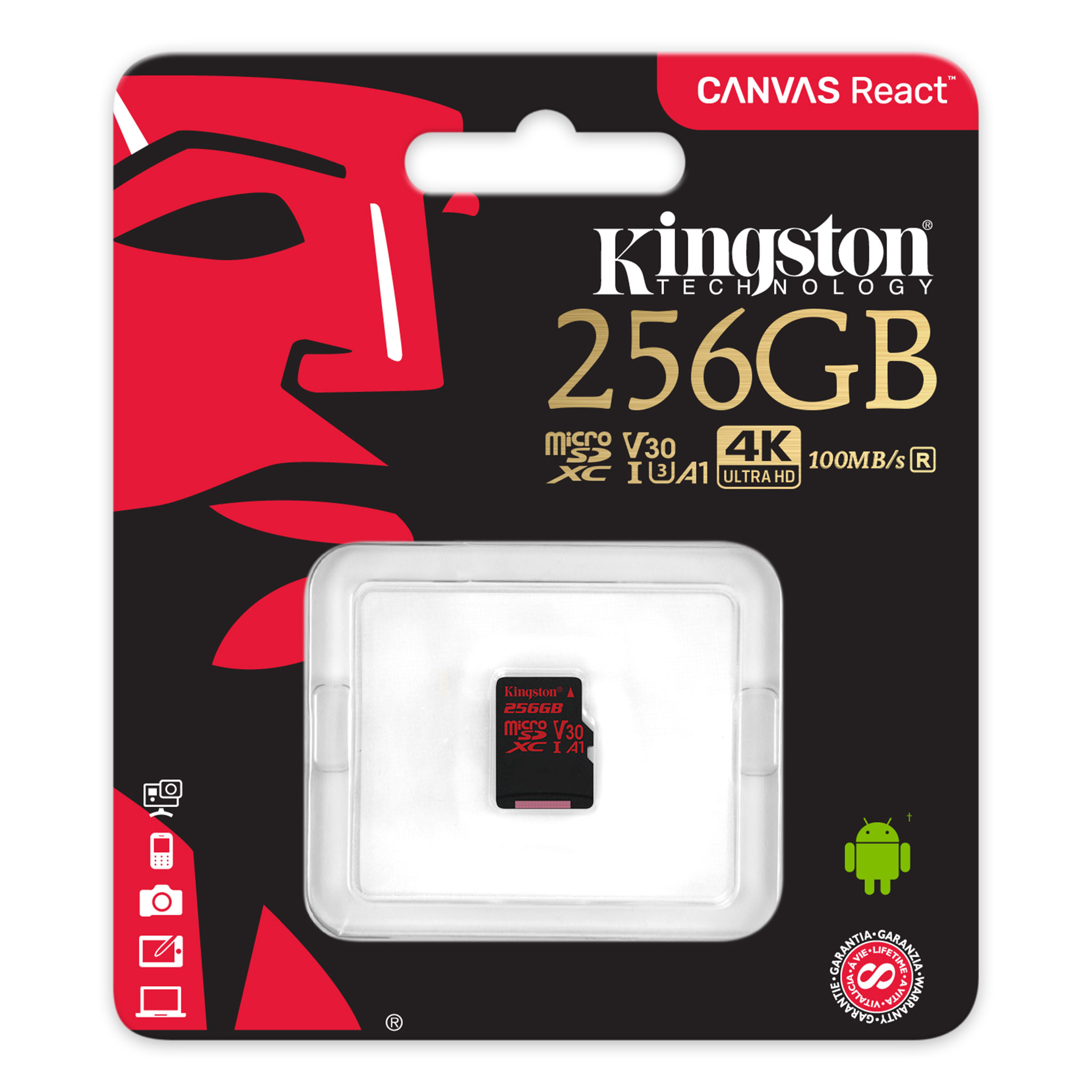 Canvas React Class 10 Uhs I U3 High Speed Sd Card