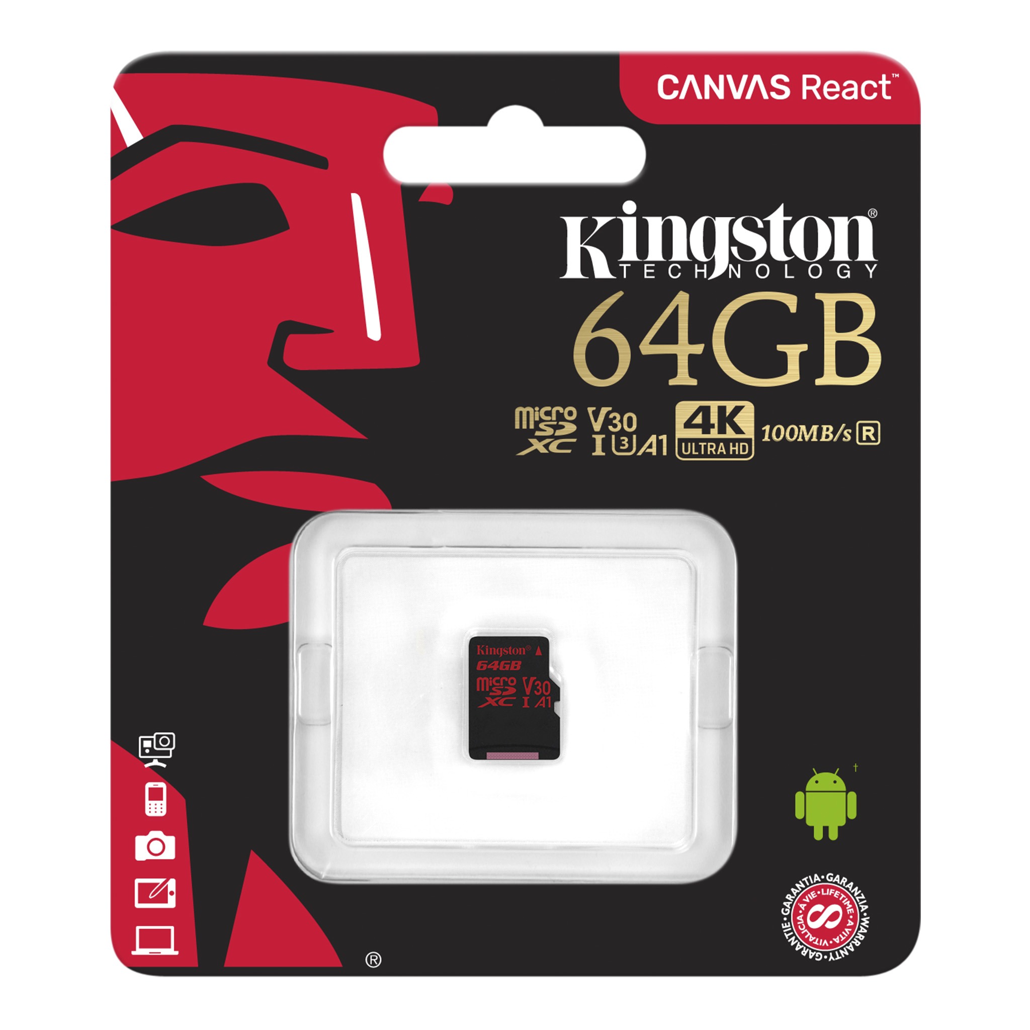 Canvas React Class 10 Uhs I U3 High Speed Sd Card