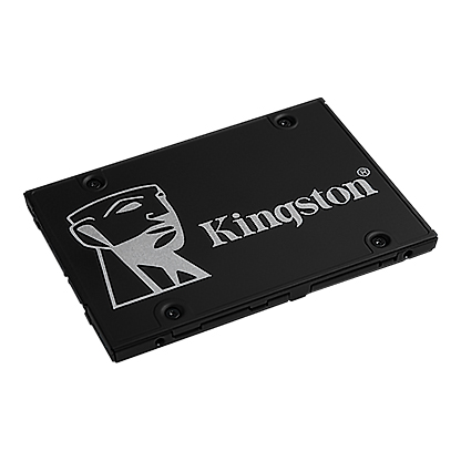 SKC600/256G SSD