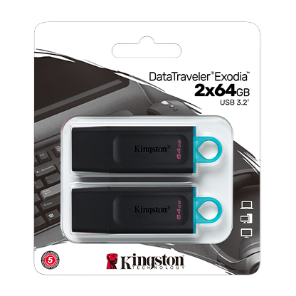 Kingston DataTraveler Exodia DTX/32GB USB-Stick 3.2 Gen 1 mit Schutzkappe und Schlüsselring in mehreren Farben 