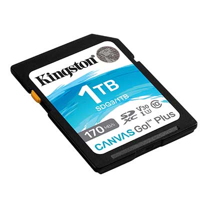 Cartão de Memoria Kingston Micro SD 64GB Canvas GO Plus Classe 10Â