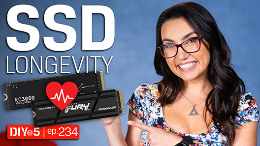 Trisha mantiene un SSD Kingston KC3000 e FURY Renegade con il simbolo dell'elettrocardiogramma che indica la salute dell'SSD.  