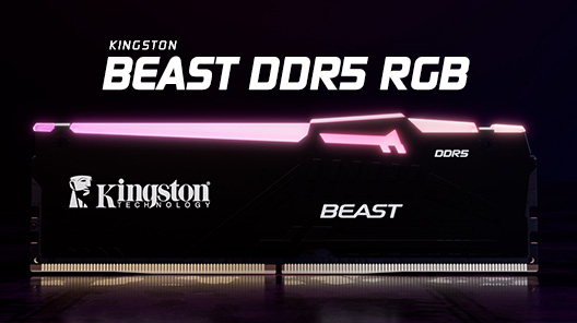 Bir beyaz Kingston Beast RGB bellek modülü eflatun renkte parlıyor