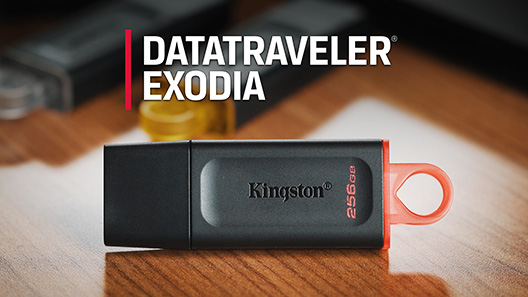 Kingston DataTraveler Kyson - clé USB - 256 Go (Canada)