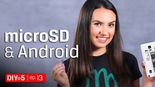 Trisha che tiene in mano una scheda microSD e uno smartphone Android senza coperchio