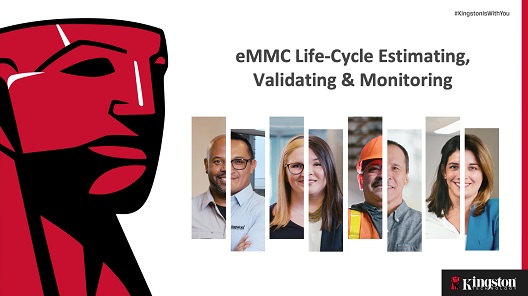 Estimativa, validação e monitoramento do ciclo de vida do eMMC