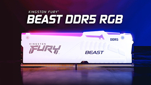 Kingston FURY Beast 32GB 6000MTs DDR5 CL36 Desktop India