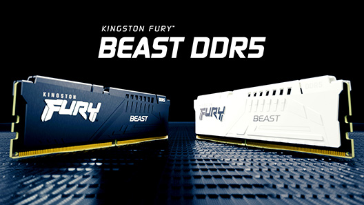 Kingston FURY Beast DDR5 メモリ