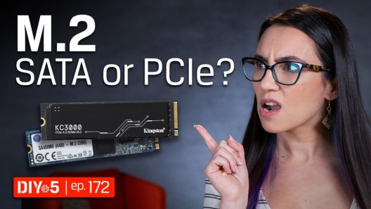 Trisha pointing at two different SSDs with a concerned look on her face
