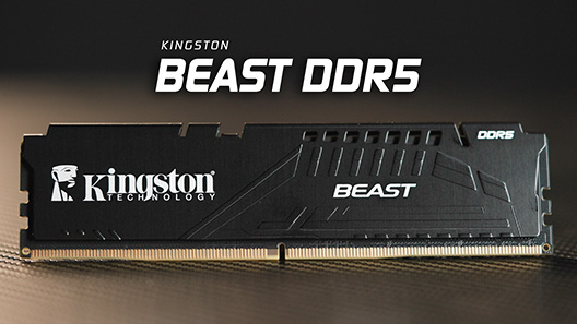 Altın dokulu bir yüzeyde duran Kingston Beast DDR5 bellek modülleri.