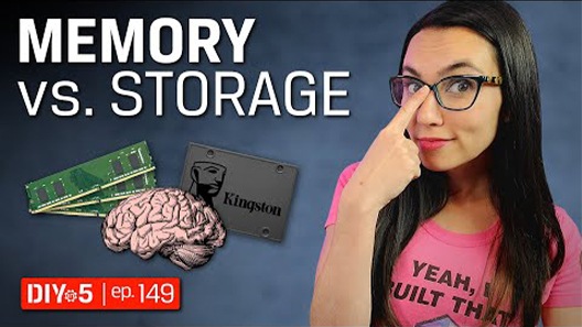 Trisha adjusting her glasses next to a DRAM memory module, an SSD and a brain