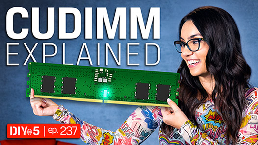 Trisha holding a giant memory module