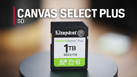 一张 Canvas Select Plus SD 卡放在桌上